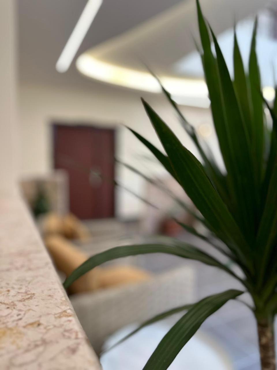 Rumman Hotel Μάνταμπα Εξωτερικό φωτογραφία